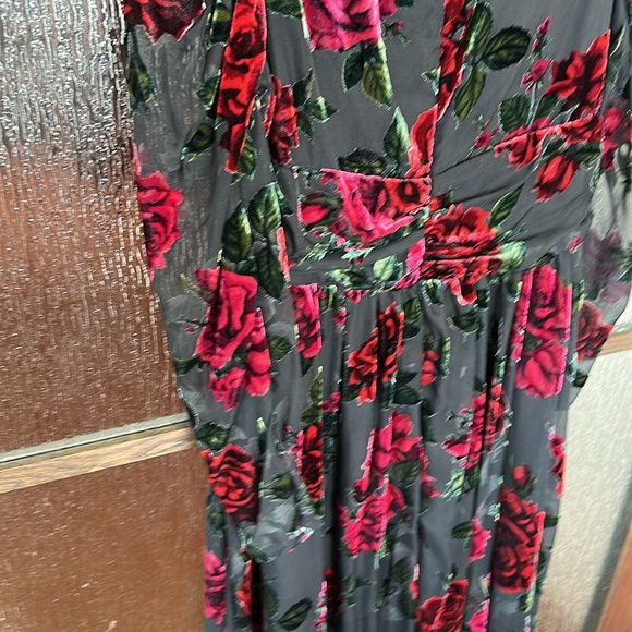 Rachel Parcell Burnout Velvet Dress size 4. - Picture 11 of 13